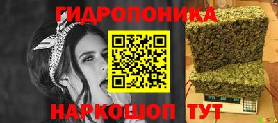apvp Нальчик