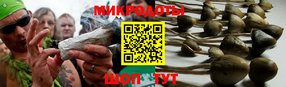 Галлюциногенные грибы GOLDEN TEACHER Елец
